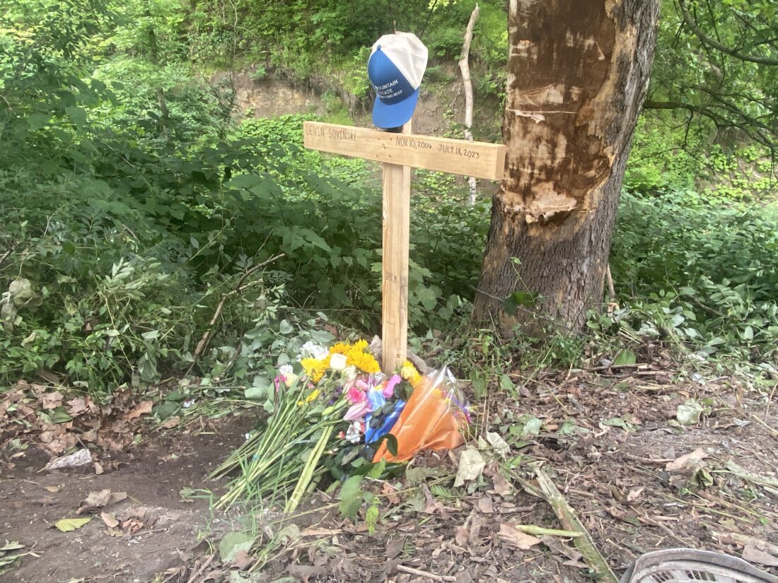 Juvenile victim in fatal crash identified | News, Sports, Jobs - Vimarsana News